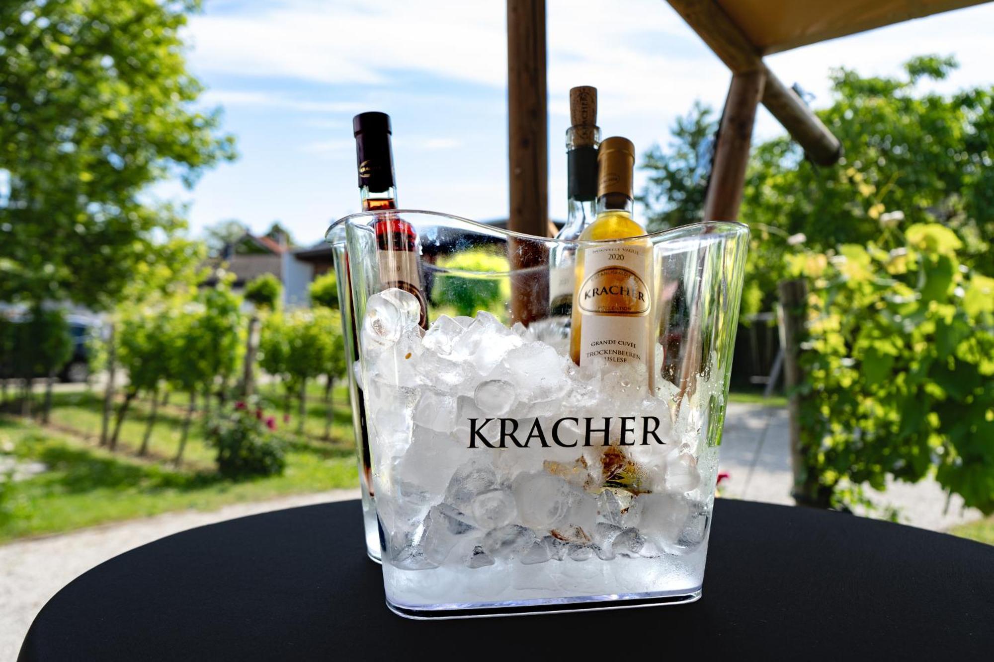 Kracher Guesthouse No 7 - Inklusive Pool Illmitz Εξωτερικό φωτογραφία